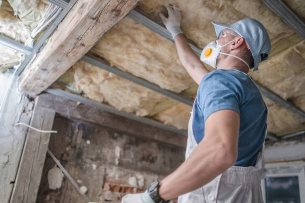 Best Spray Foam Insulation  in Dousman, WI