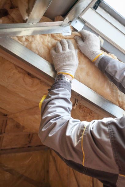 Best Blown-in Insulation  in Dousman, WI