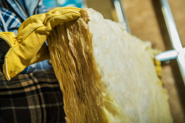 Best Home Insulation Services  in Dousman, WI