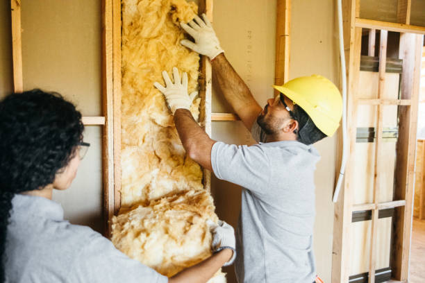 Best Spray Foam Insulation  in Dousman, WI